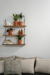 7 plantas para ambientes com pouca luz