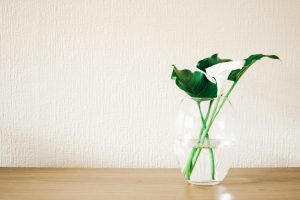 9 dicas de como fazer uma decoração minimalista no seu lar